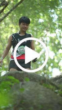 BIB:  <button type="button" onclick="openModal(27932704)" class="btn btn-primary btn-sm float-right" data-toggle="modal" data-target=".modal-high-quality">
                <i class="fa fa-download"></i> Download
                </button>